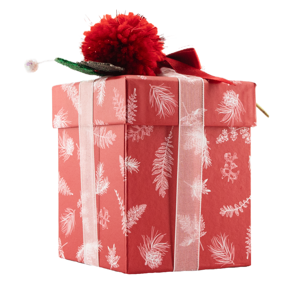 Navidad caja roja 12 pralinés 180 Grs