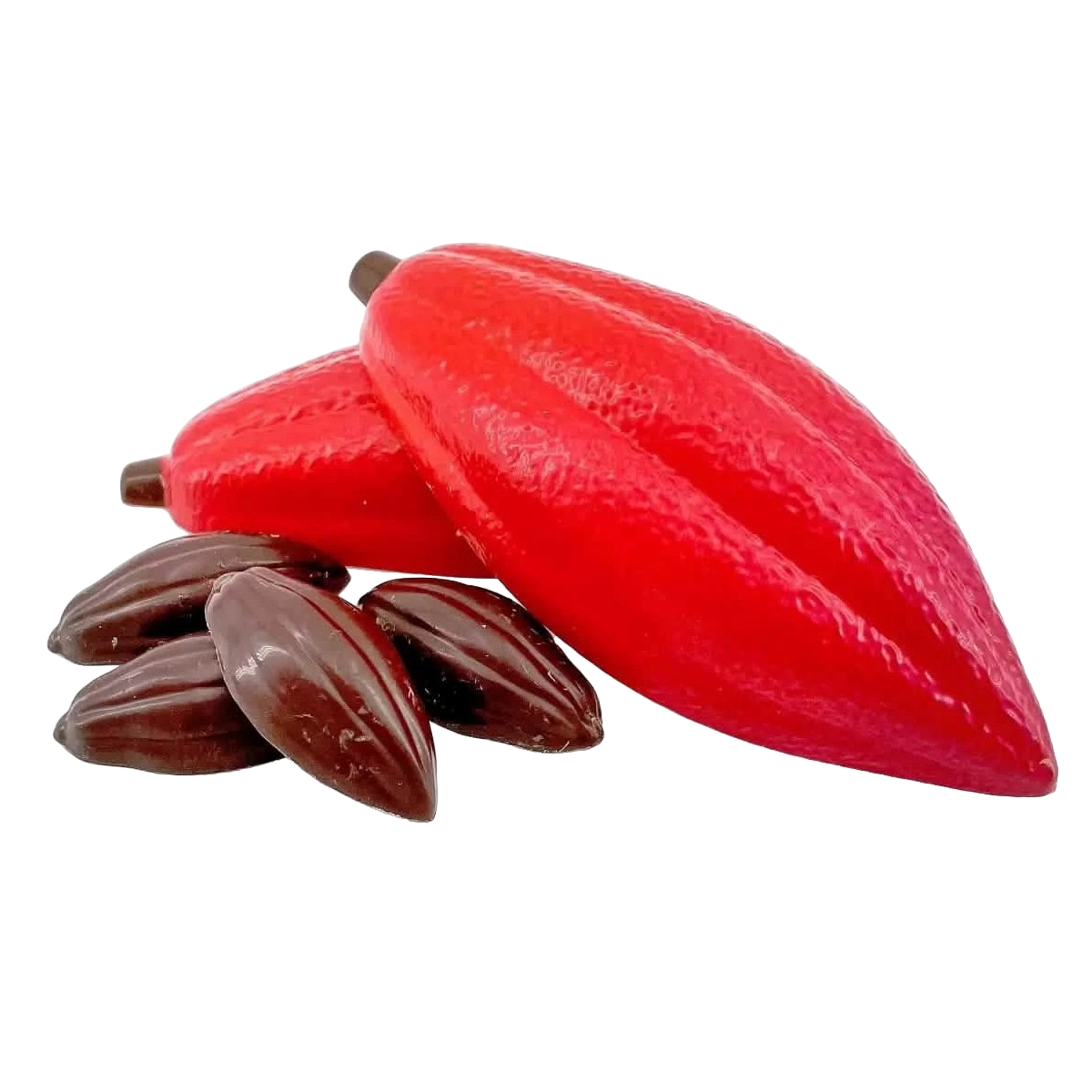 White chocolate cacao pod with pralines 100g