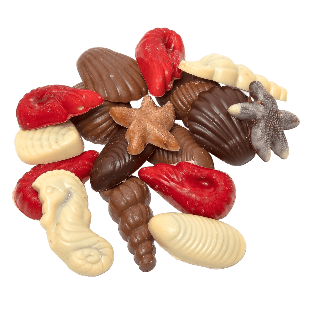 Conchiglia di mare in cioccolato