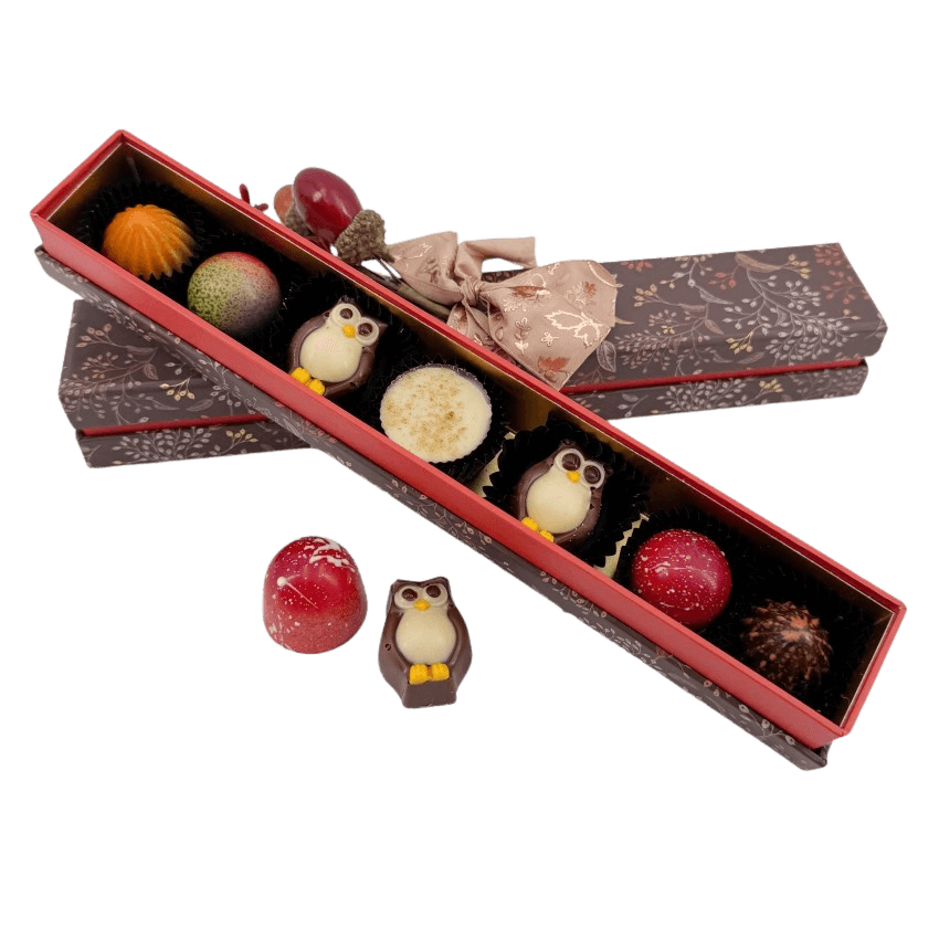 Autumn whispers pralines 105g