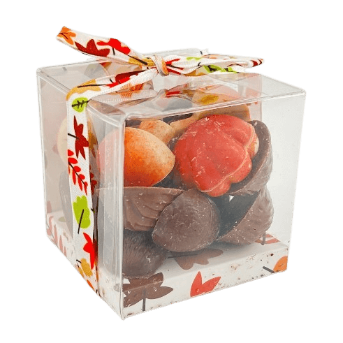Autumn fruits in chocolate 5407008477653 The Belgian Chocolate Makers