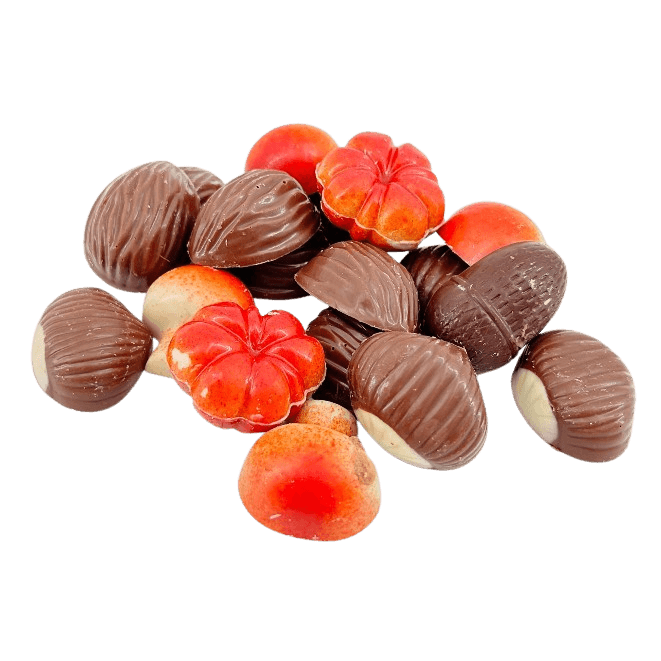 Autumn fruits in chocolate 5407008477653 The Belgian Chocolate Makers