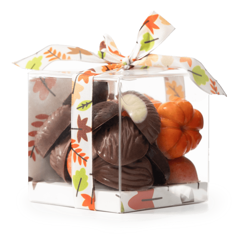 Autumn fruits in chocolate 5407008477653 The Belgian Chocolate Makers