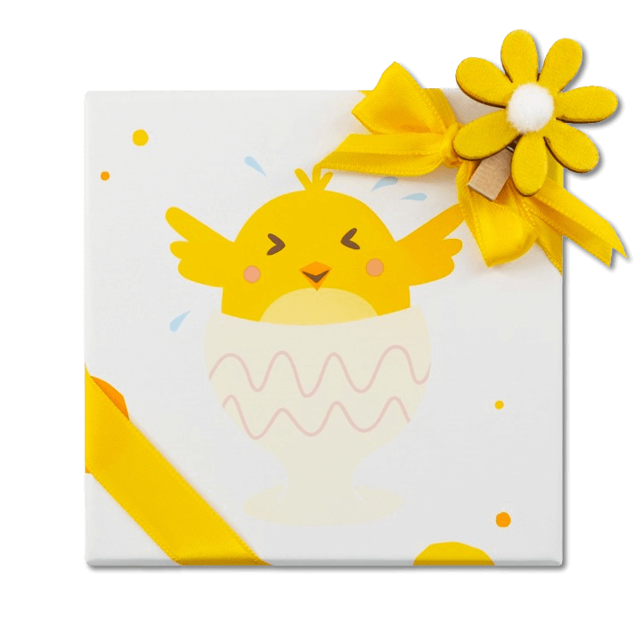 Chick box of 9 Easter pralines 135g 5407008473143 The Belgian Chocolate Makers