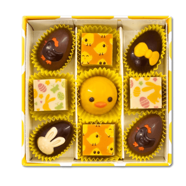 Chick box of 9 Easter pralines 135g 5407008473143 The Belgian Chocolate Makers
