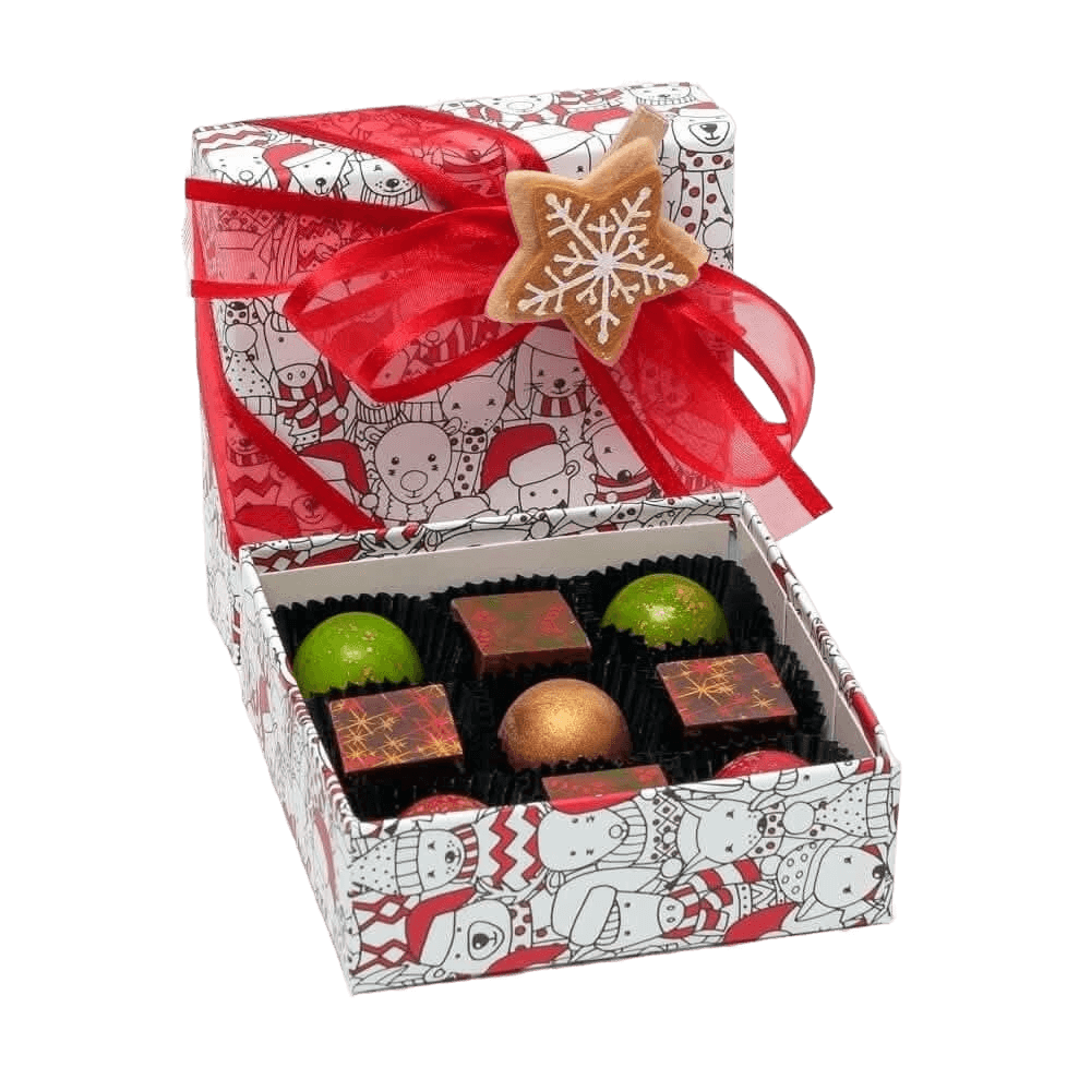 Christmas box 9 pralines 135g 5407008477929 The Belgian Chocolate Makers