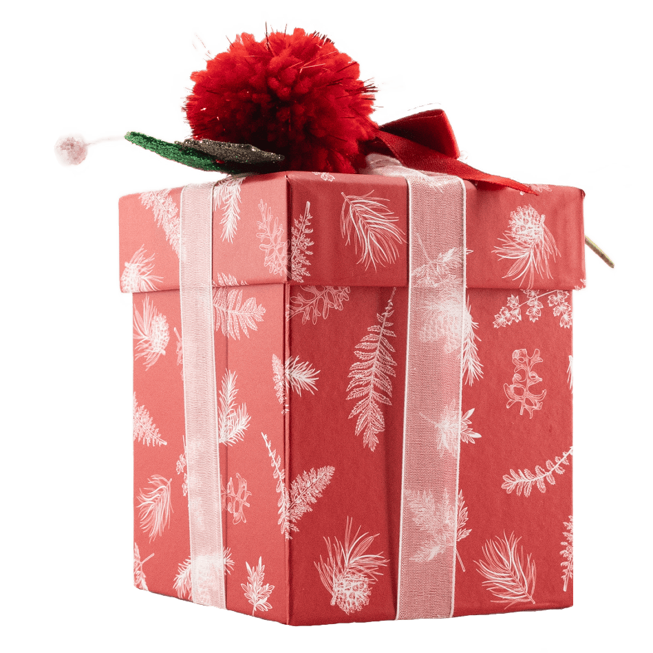 Christmas drawer box 12 pralines 180g 5407008470609 The Belgian Chocolate Makers