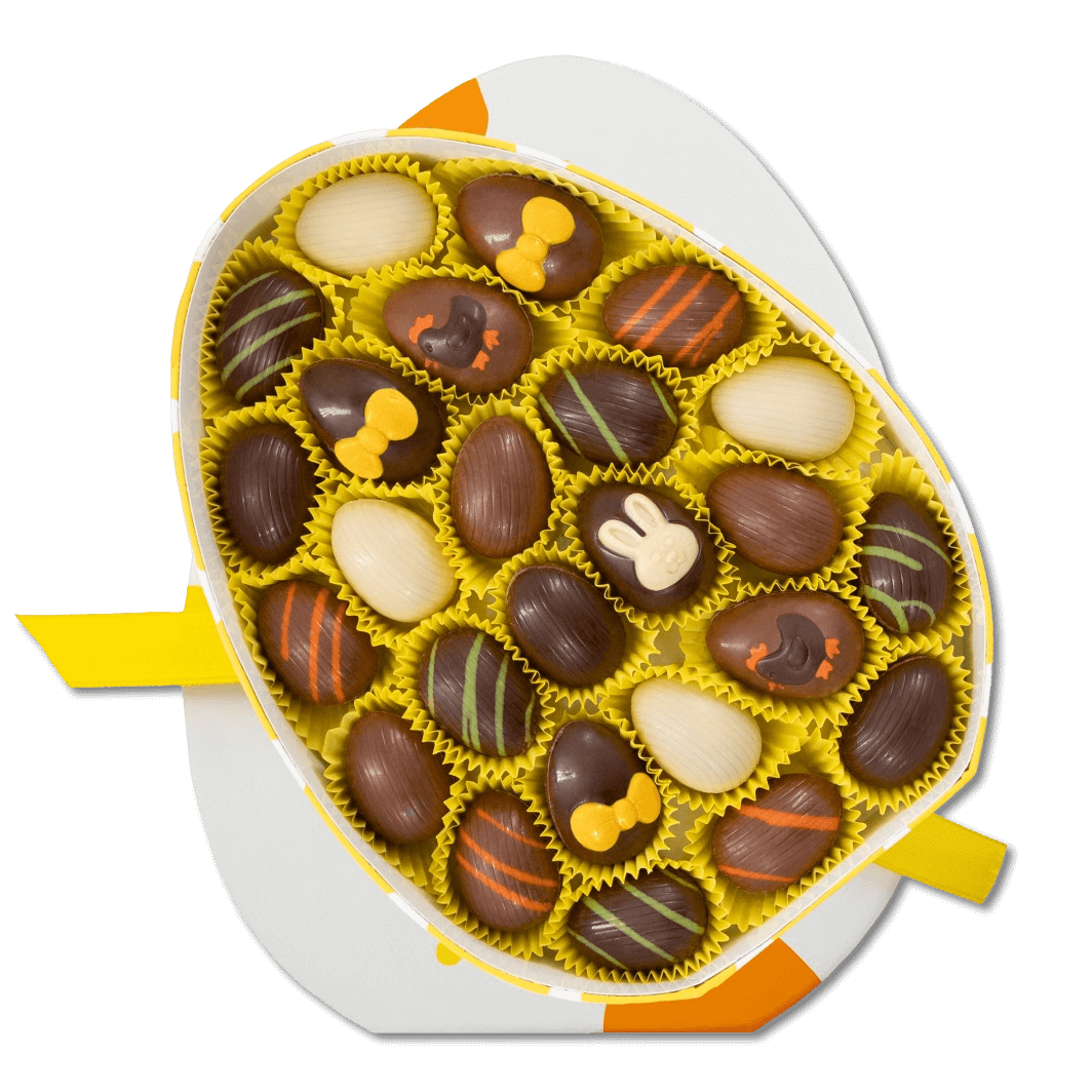 Eggbox of 25 Easter pralines 200g 5407008479589 The Belgian Chocolate Makers