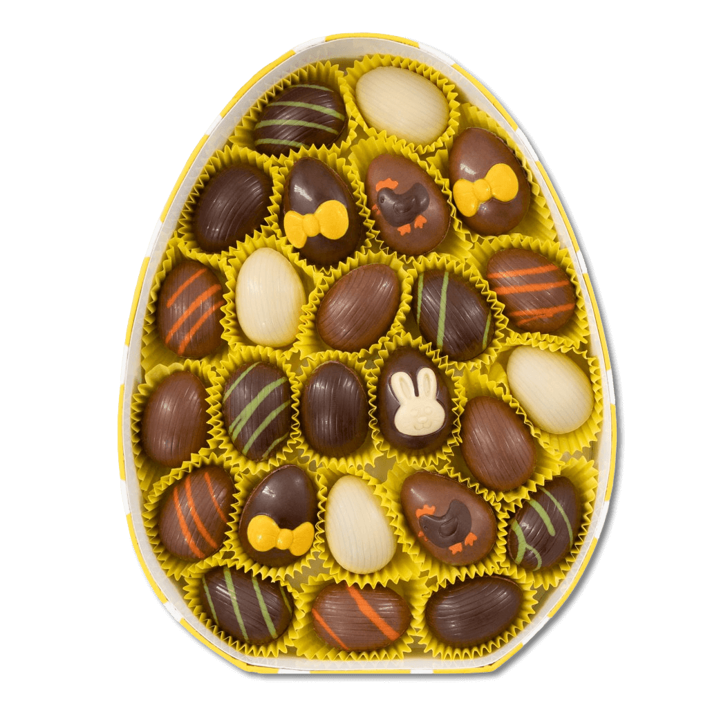 Eggbox of 25 Easter pralines 200g 5407008479589 The Belgian Chocolate Makers