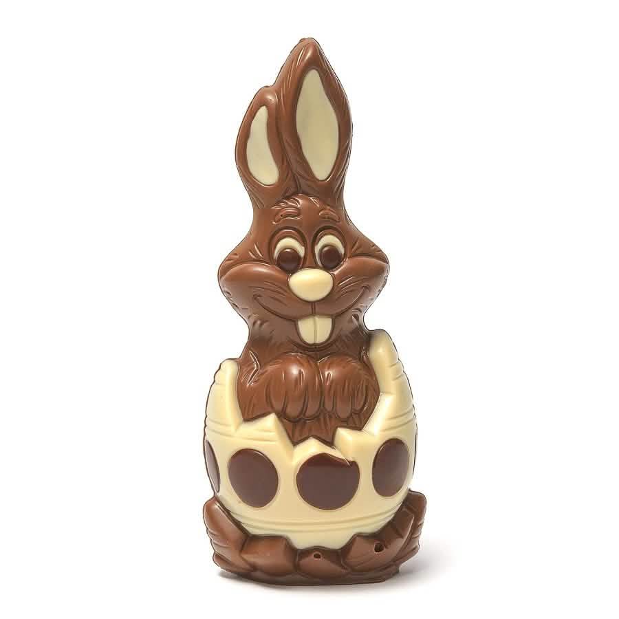 Milk chocolate bunny in an egg 5407008476182 The Belgian Chocolate Makers