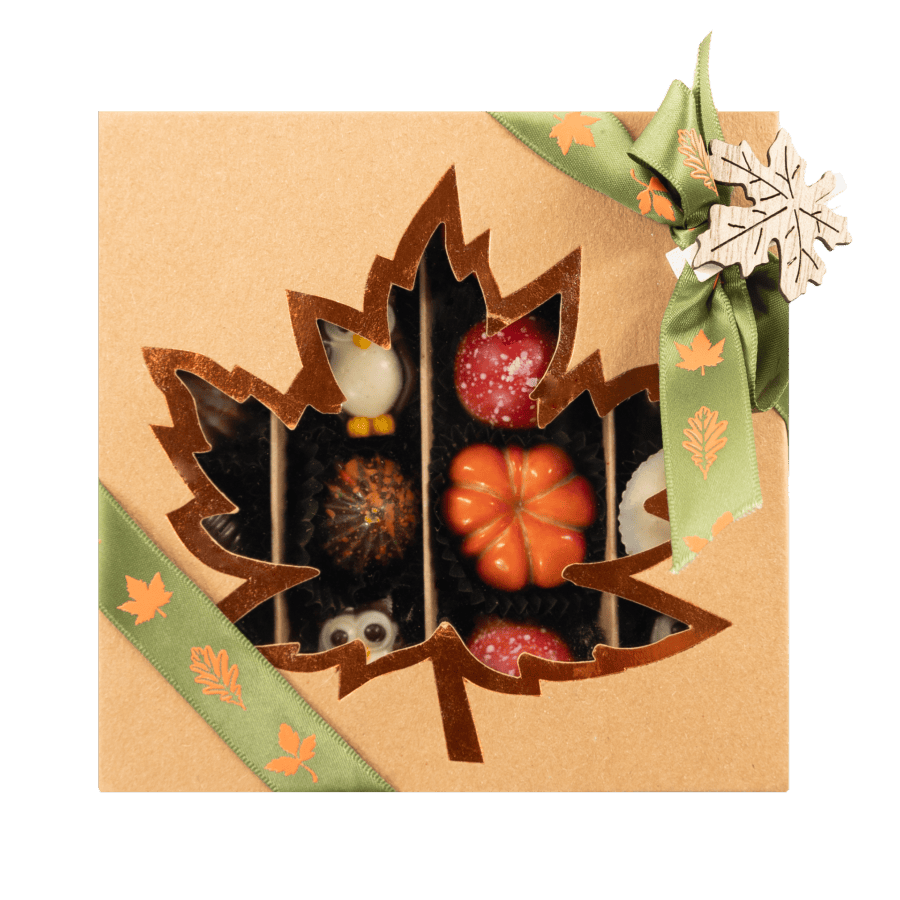 Mix of autumn pralines in a brown gift box 5407008474317 The Belgian Chocolate Makers