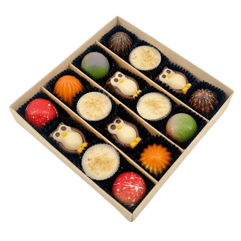Mix of autumn pralines in a green gift box 5407008477578 The Belgian Chocolate Makers
