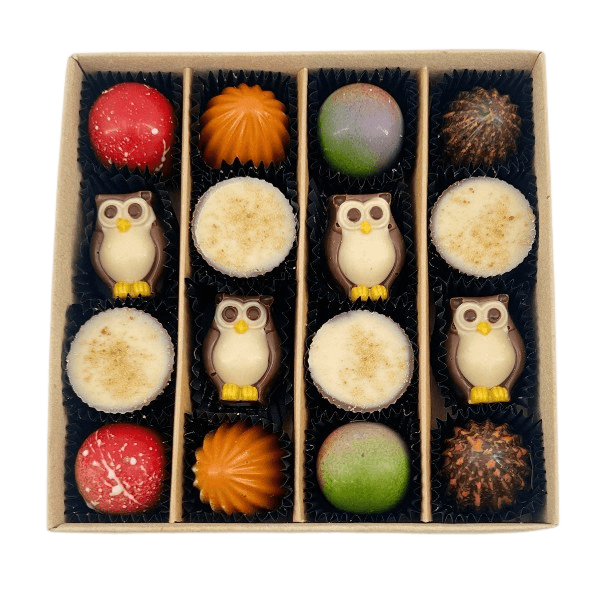 Mix of autumn pralines in a green gift box 5407008477578 The Belgian Chocolate Makers