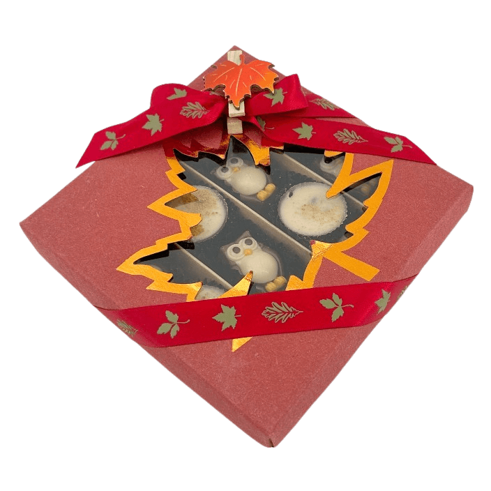 Mix of autumn pralines in a red gift box 5407008477561 The Belgian Chocolate Makers