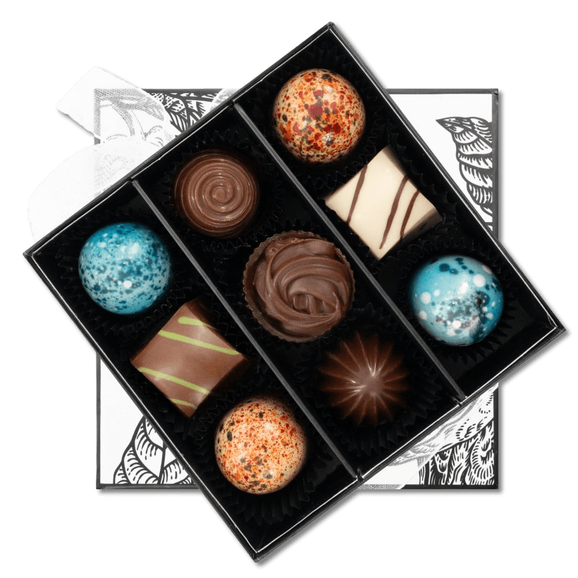 Prestige box of 9 chocolate pralines 135g 5407008479275 The Belgian Chocolate Makers