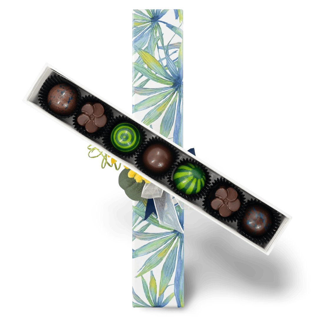 Tropical sea pralines box (mixed) 105g 5407008479718 The Belgian Chocolate Makers