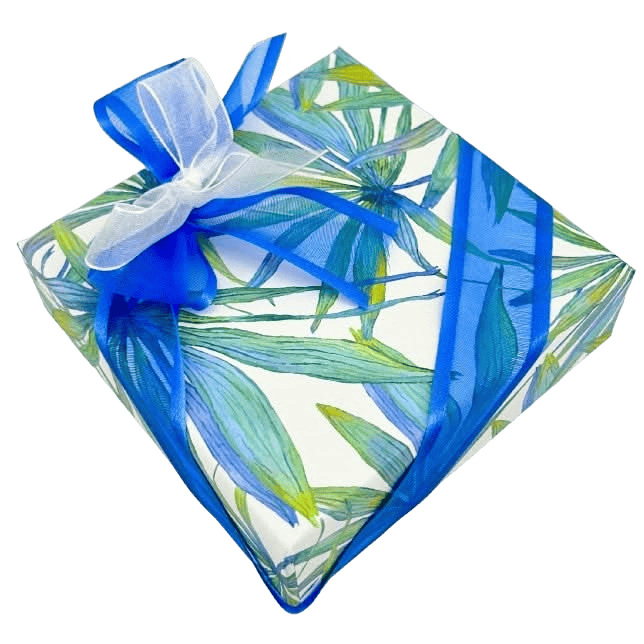 Tropical sea pralines box (mixed) 135g 5407008479732 The Belgian Chocolate Makers