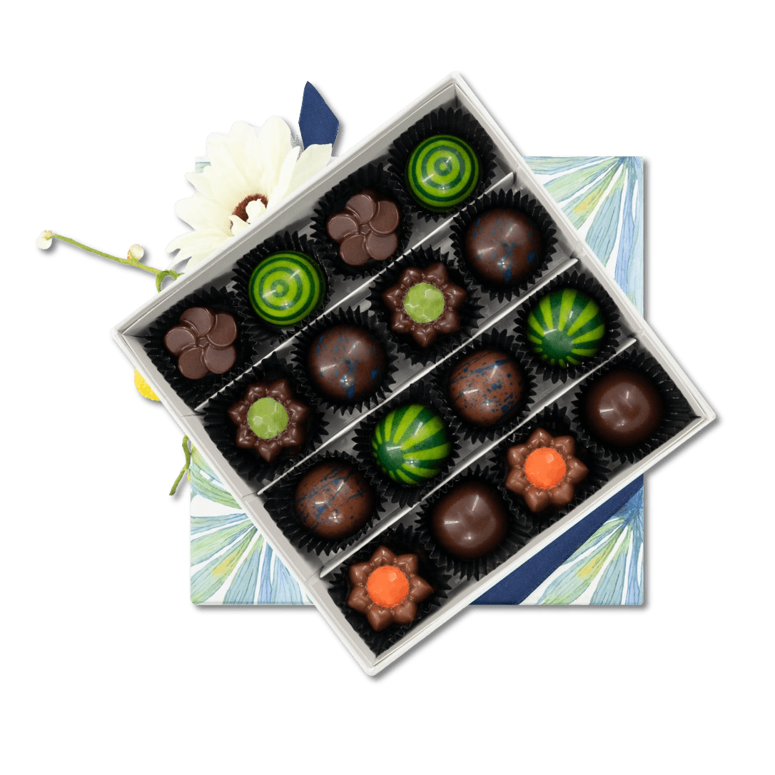 Tropical sea pralines box (mixed) 240g 5407008479749 The Belgian Chocolate Makers