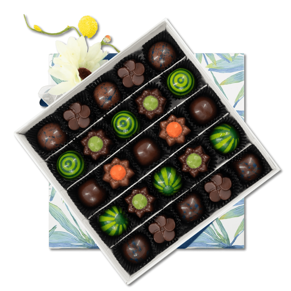 Tropical sea pralines box (mixed) 375g 5407008479756 The Belgian Chocolate Makers