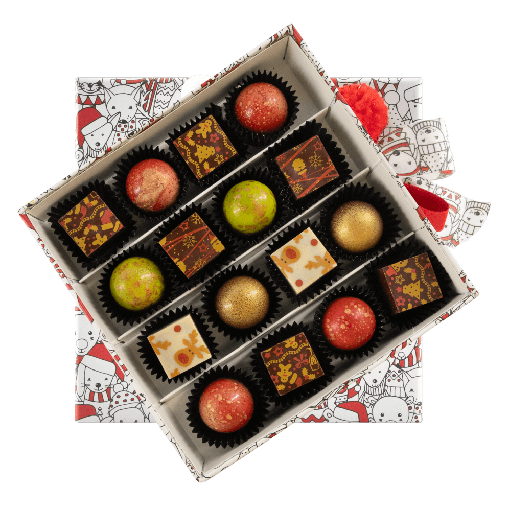 Christmas box 16 pralines 240g