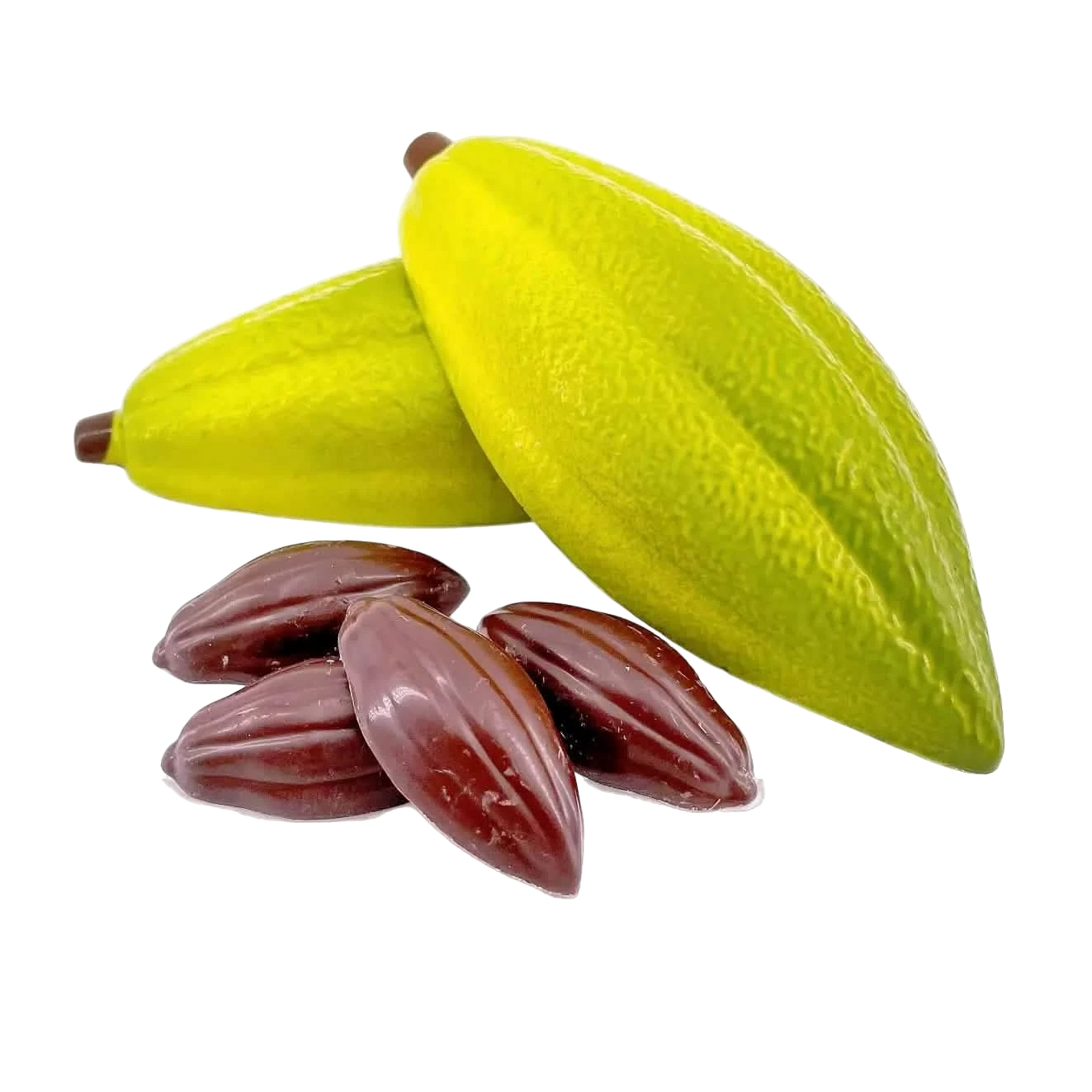 Cabosse de cacao chocolat noir 100 grs