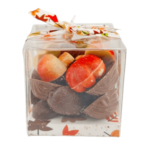 Autumn fruits in chocolate 5407008477653 The Belgian Chocolate Makers