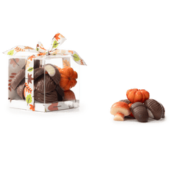 Autumn fruits in chocolate 5407008477653 The Belgian Chocolate Makers