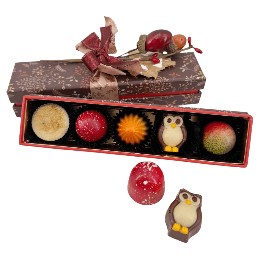 Autumn whispers pralines 65g 5407008478438 The Belgian Chocolate Makers