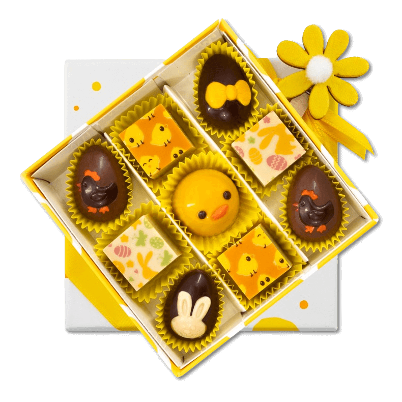 Chick box of 9 Easter pralines 135g 5407008473143 The Belgian Chocolate Makers