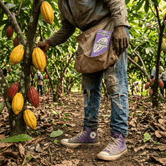 Chocolate bar origin Dominican Republic Hispaniola Bhonacao 80% 5407008470210 The Belgian Chocolate Makers