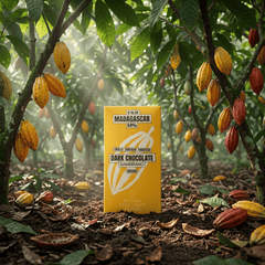 Chocolate bar origin Madagascar Sambirano 64% 5407008479527 The Belgian Chocolate Makers