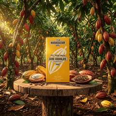 Chocolate bar origin Madagascar Sambirano 64% 5407008479527 The Belgian Chocolate Makers