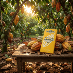 Chocolate bar origin Madagascar Sambirano 64% 5407008479527 The Belgian Chocolate Makers