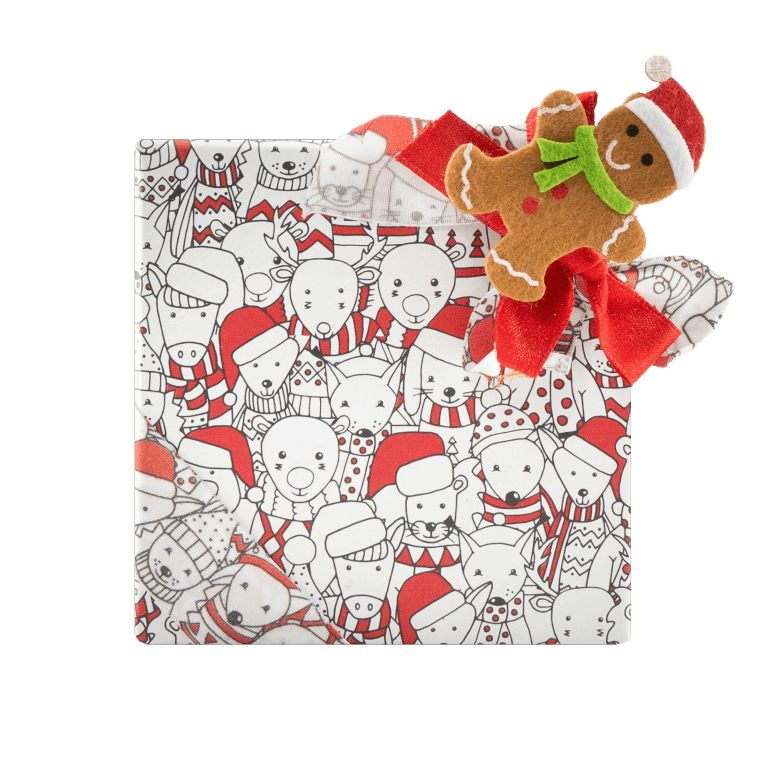 Christmas box 9 pralines 135g 5407008477929 The Belgian Chocolate Makers