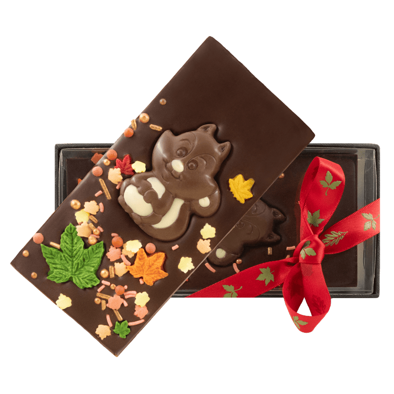 Dark chocolate squirrel bar 125g 5407008476786 The Belgian Chocolate Makers