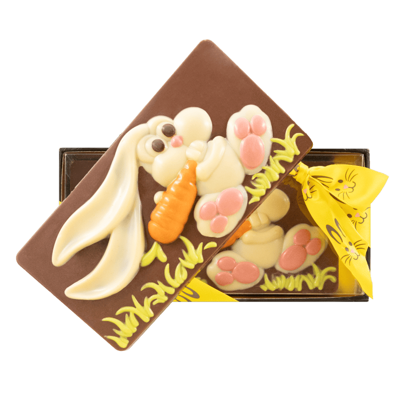Milk chocolate Easter bunny bar 100g 5407008478063 The Belgian Chocolate Makers