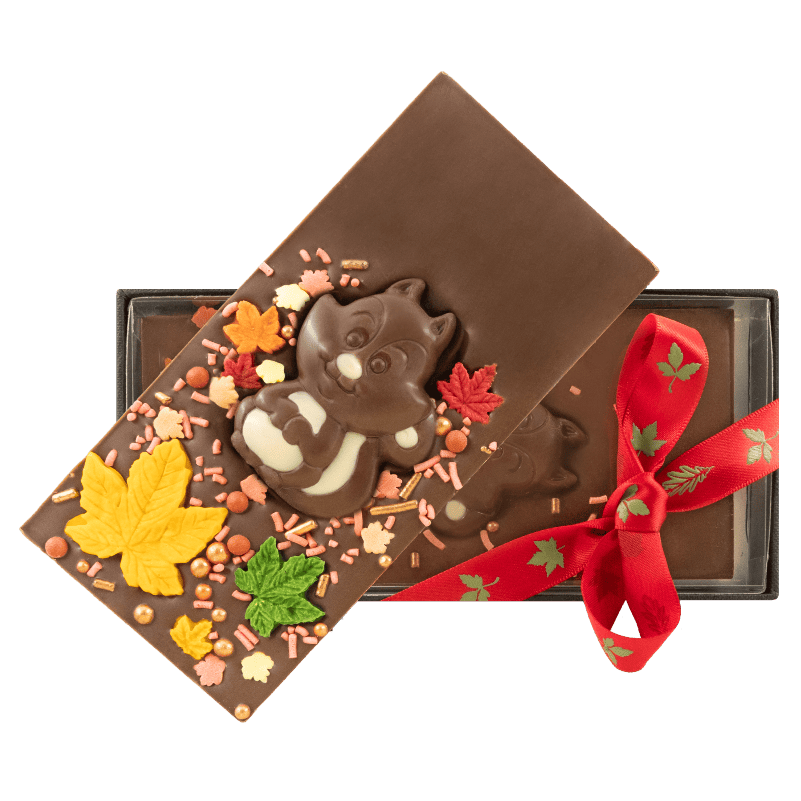 Milk chocolate squirrel bar 125g 5407008476793 The Belgian Chocolate Makers