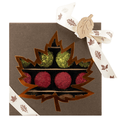 Mix of autumn Belgian truffles in a dark brown gift box 5407008477592 The Belgian Chocolate Makers