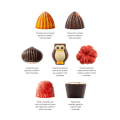 Mix of autumn pralines in a brown gift box 5407008474317 The Belgian Chocolate Makers