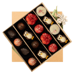 Mix of autumn pralines in a brown gift box 5407008474317 The Belgian Chocolate Makers