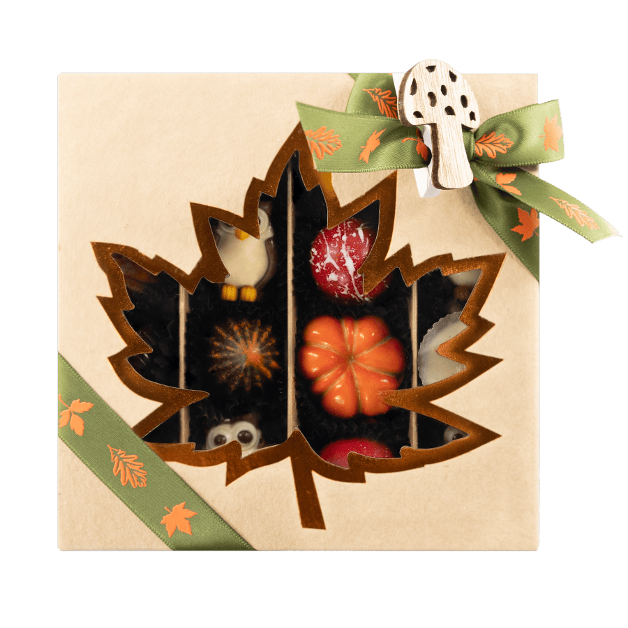 Mix of autumn pralines in a craft gift box 5407008477547 The Belgian Chocolate Makers