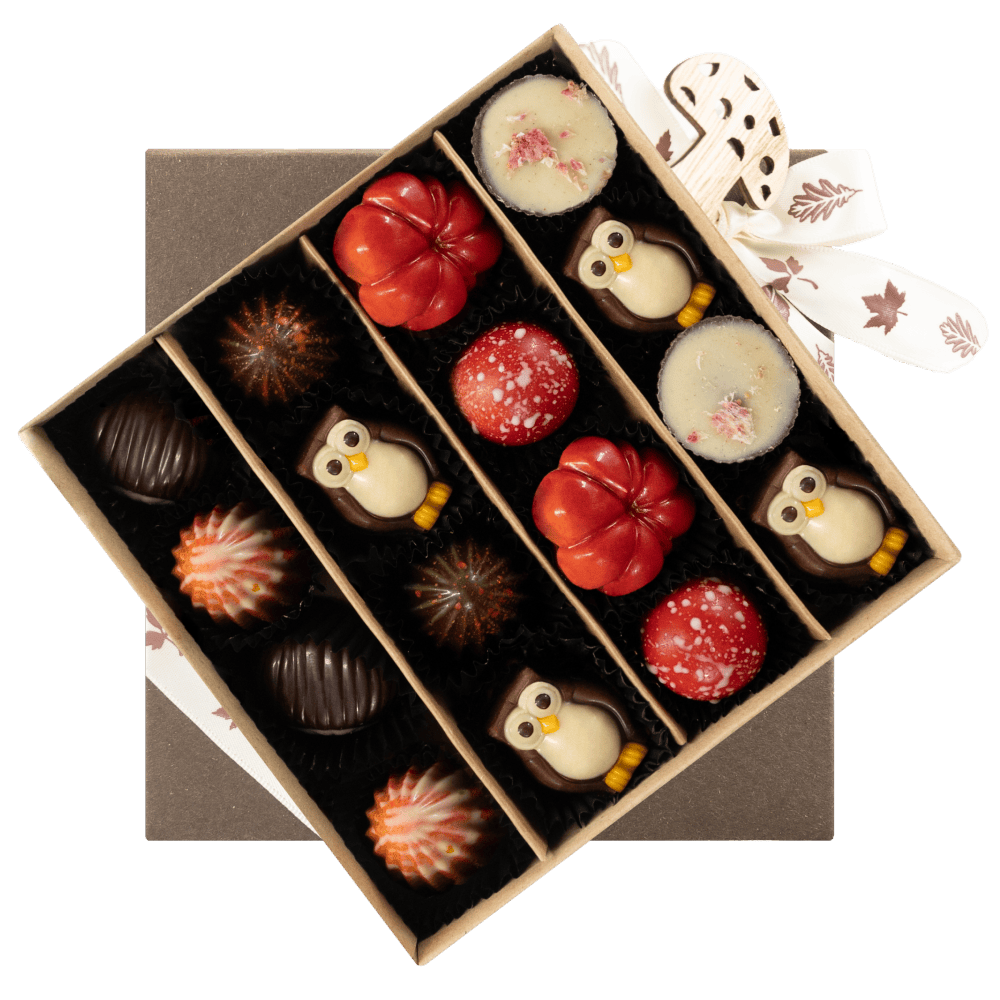 Mix of autumn pralines in a dark brown gift box 5407008477554 The Belgian Chocolate Makers