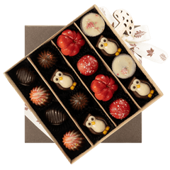 Mix of autumn pralines in a dark brown gift box 5407008477554 The Belgian Chocolate Makers