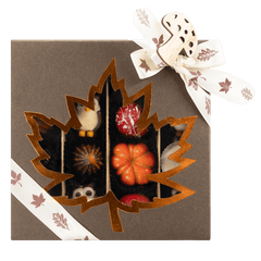 Mix of autumn pralines in a dark brown gift box 5407008477554 The Belgian Chocolate Makers