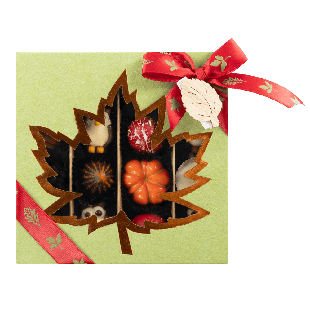Mix of autumn pralines in a green gift box 5407008477578 The Belgian Chocolate Makers