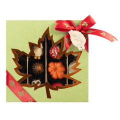 Mix of autumn pralines in a green gift box 5407008477578 The Belgian Chocolate Makers