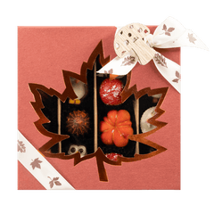 Mix of autumn pralines in a red gift box 5407008477561 The Belgian Chocolate Makers