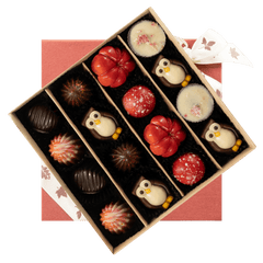 Mix of autumn pralines in a red gift box 5407008477561 The Belgian Chocolate Makers