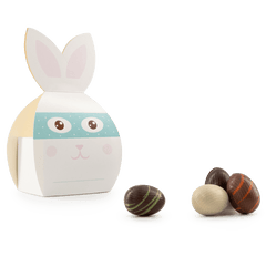 Pouch of 10 mini Easter chocolate eggs 80g 5407008477295 The Belgian Chocolate Makers