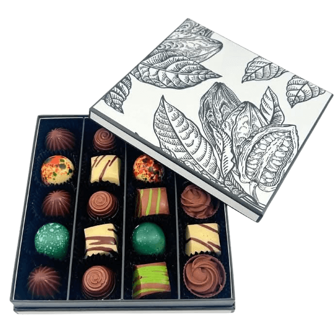 Prestige box of 20 chocolate pralines 5407008479282 The Belgian Chocolate Makers